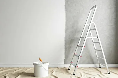Painting and plastering projects for apartments and houses