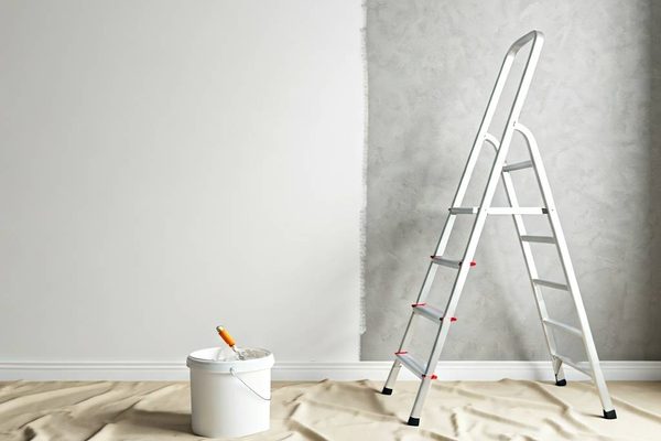 Painting and plastering service